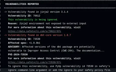 SafetyCLI check output for the vulnerability